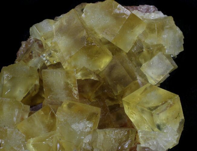 Lustrous, Yellow Cubic Fluorite Crystals - Morocco #37479